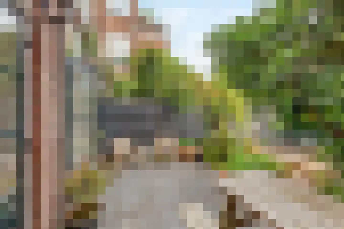 Valkenboskade 229 Den Haag thumbnail 19