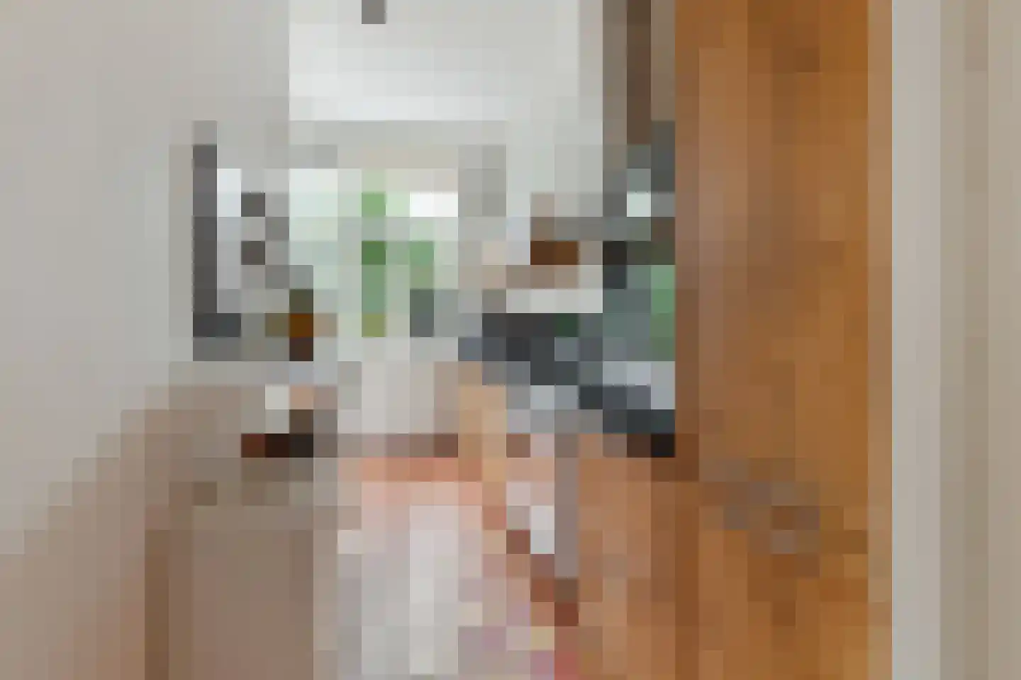 Valkenboskade 229 Den Haag thumbnail 22