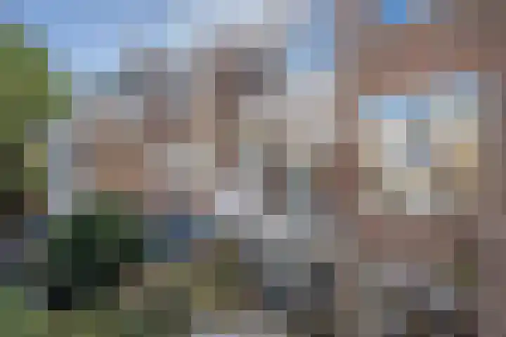 Valkenboskade 233 Den Haag thumbnail 26