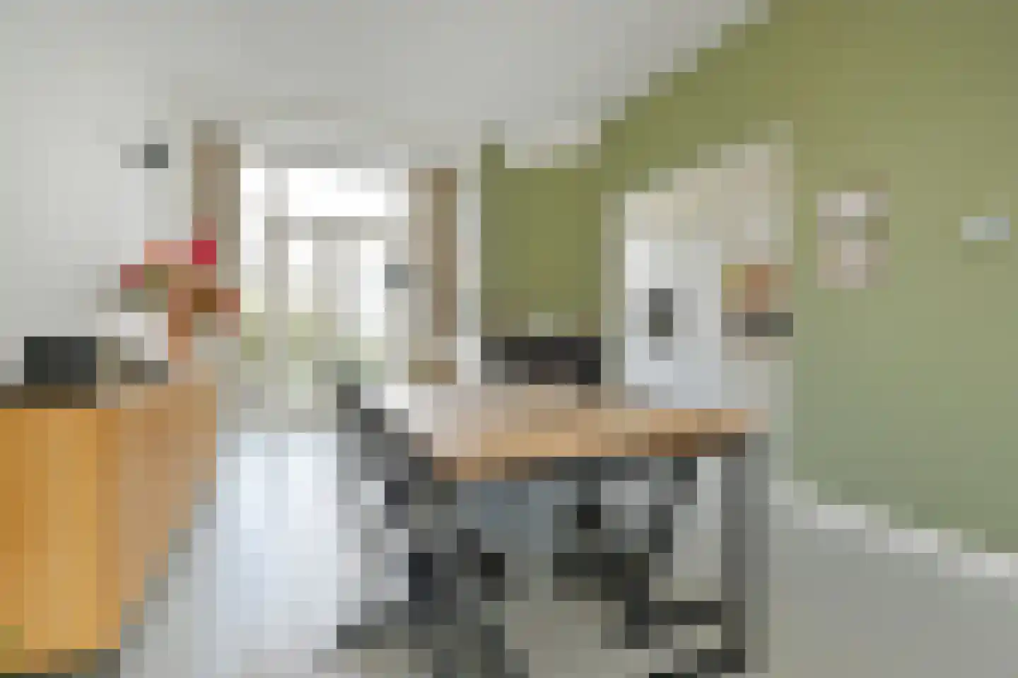 Valkenboskade 239 Den Haag thumbnail 11