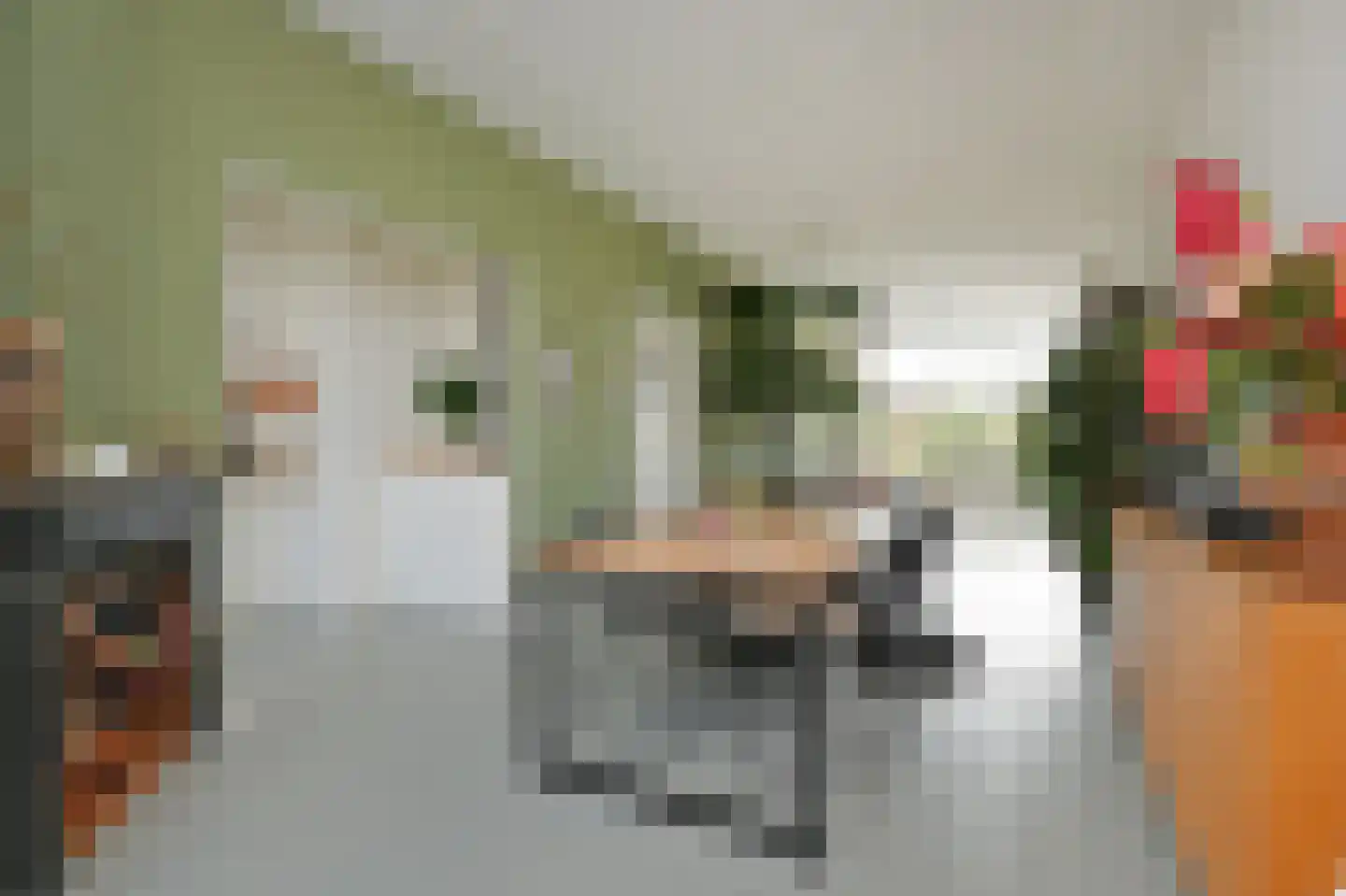 Valkenboskade 239 Den Haag thumbnail 15