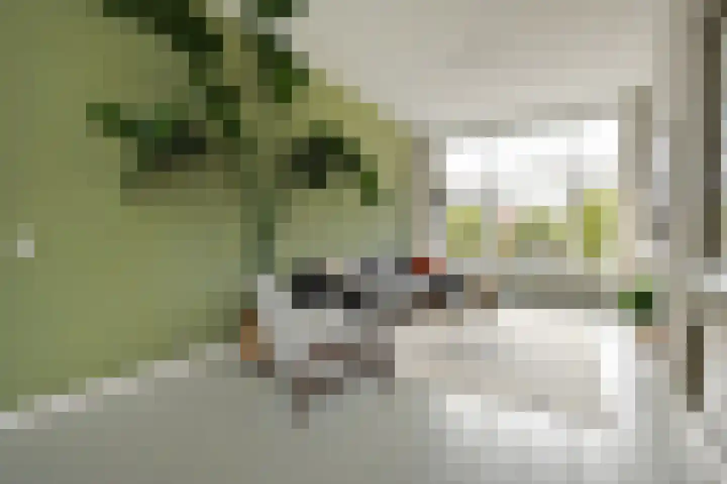 Valkenboskade 239 Den Haag thumbnail 6