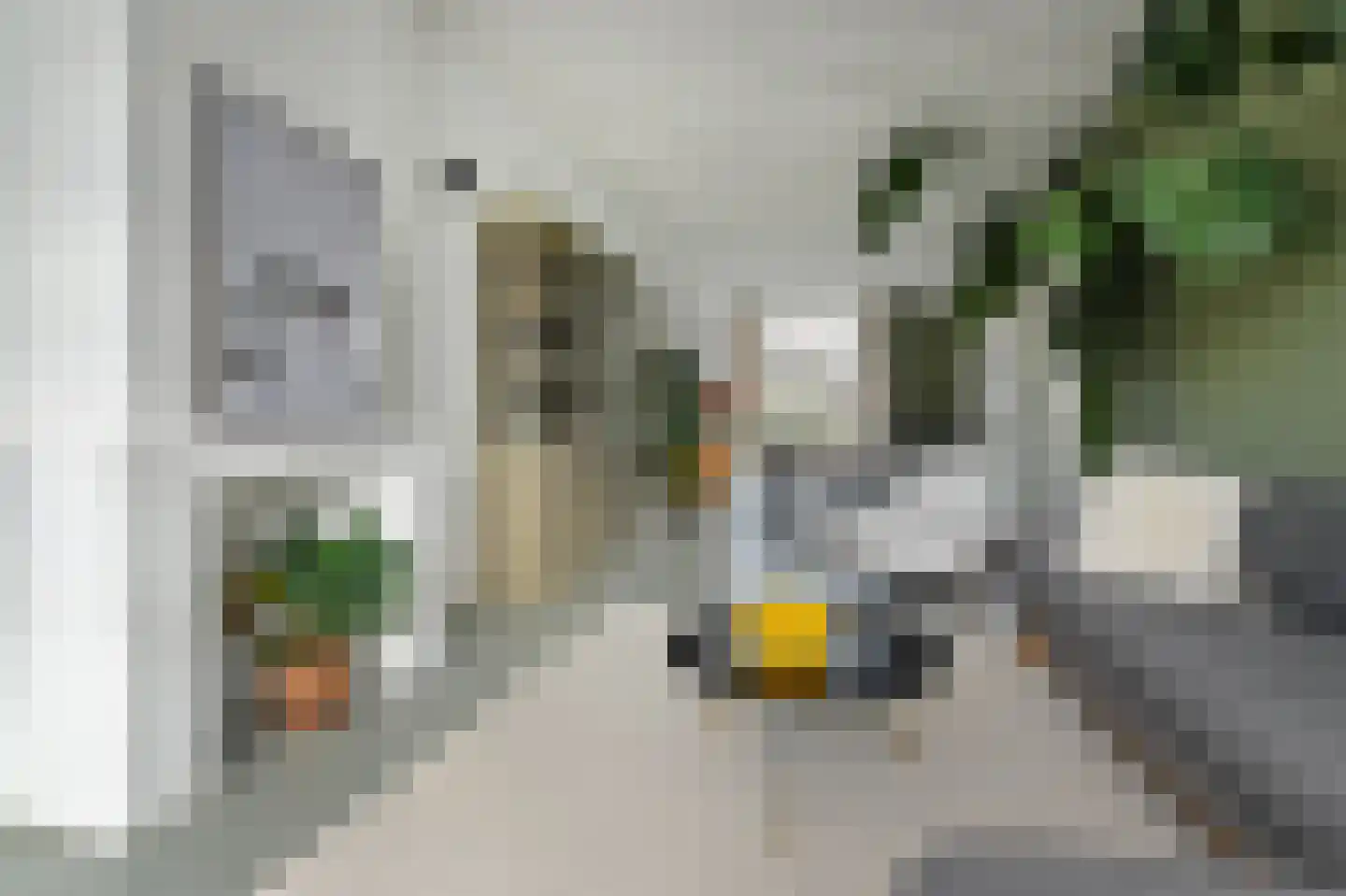 Valkenboskade 239 Den Haag thumbnail 9