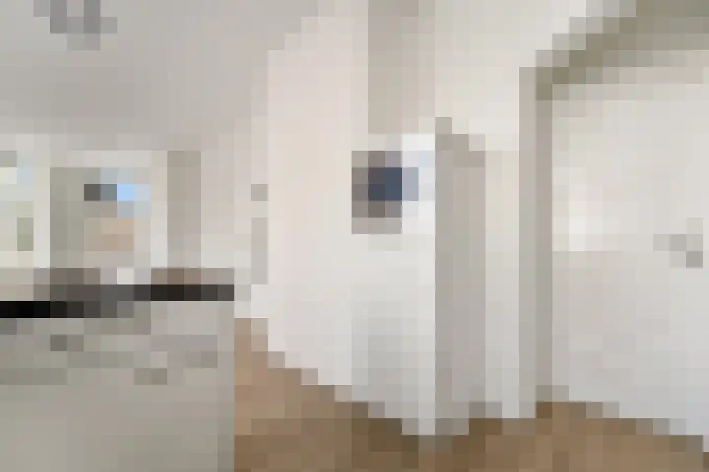 Valkenboskade 24 Den Haag thumbnail 16