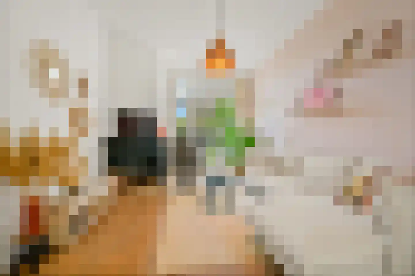 Valkenboskade 246 Den Haag thumbnail 10