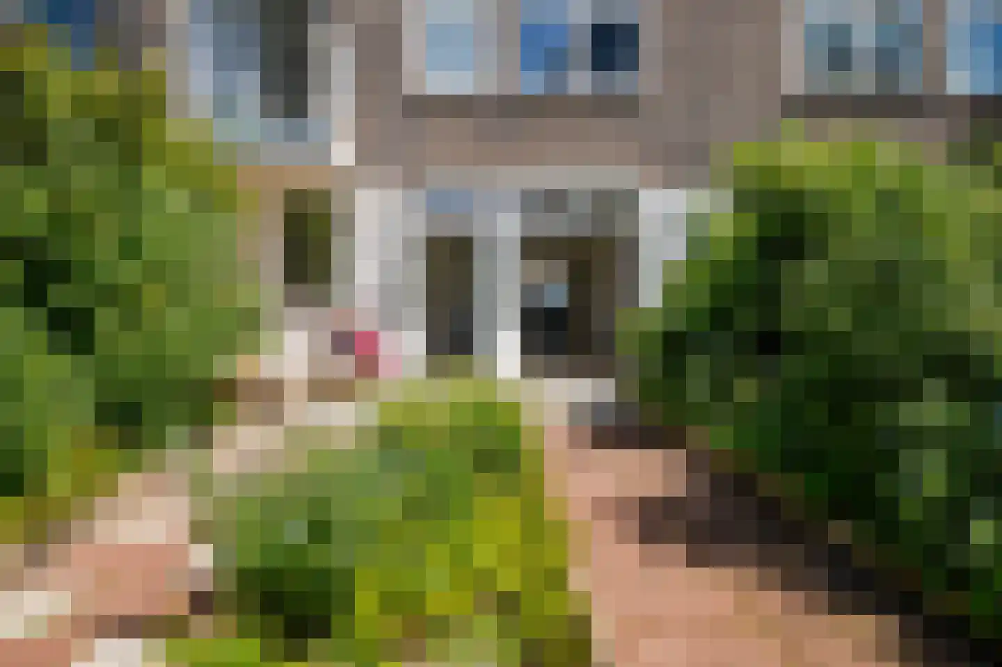 Valkenboskade 284 Den Haag thumbnail 17