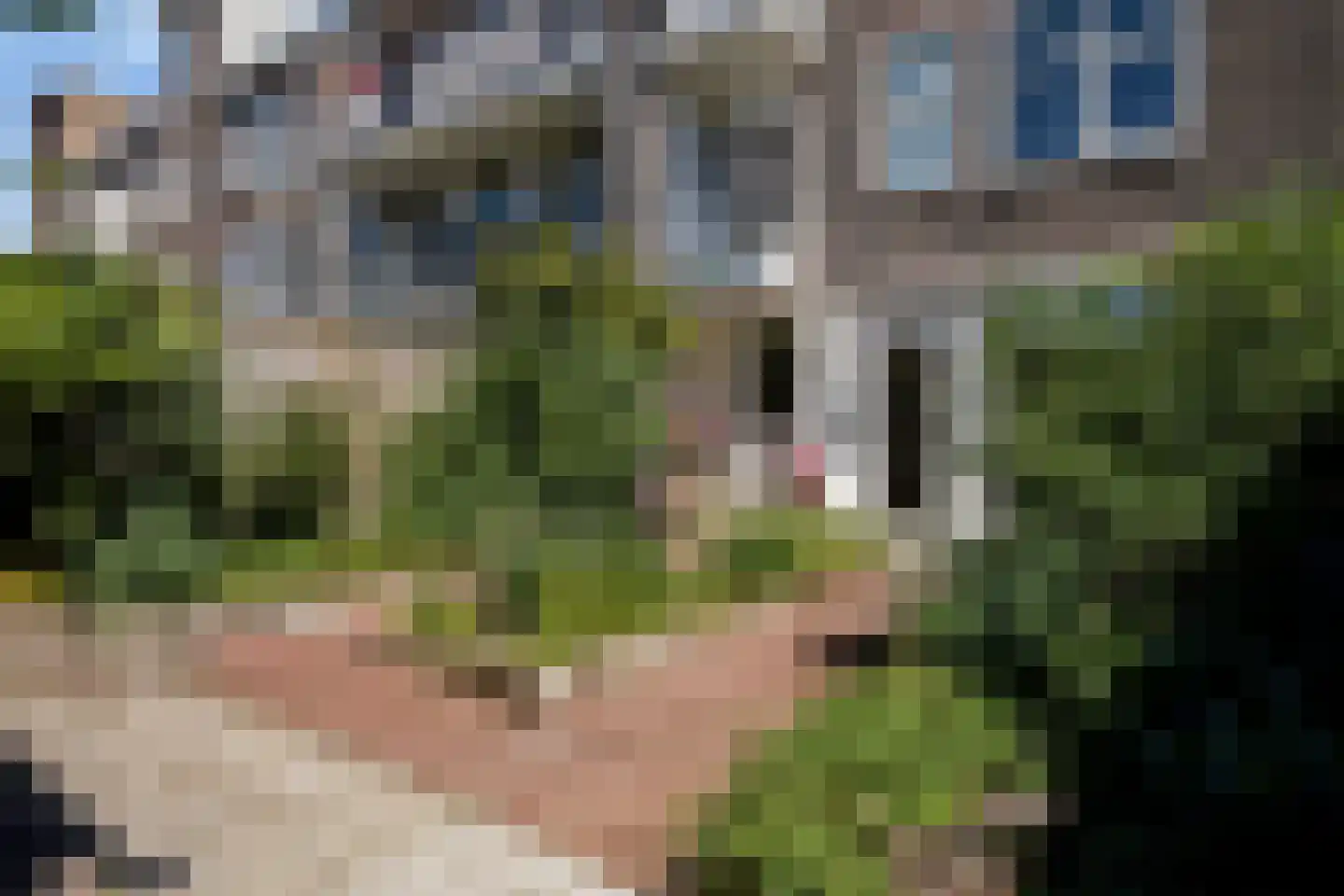 Valkenboskade 284 Den Haag thumbnail 18