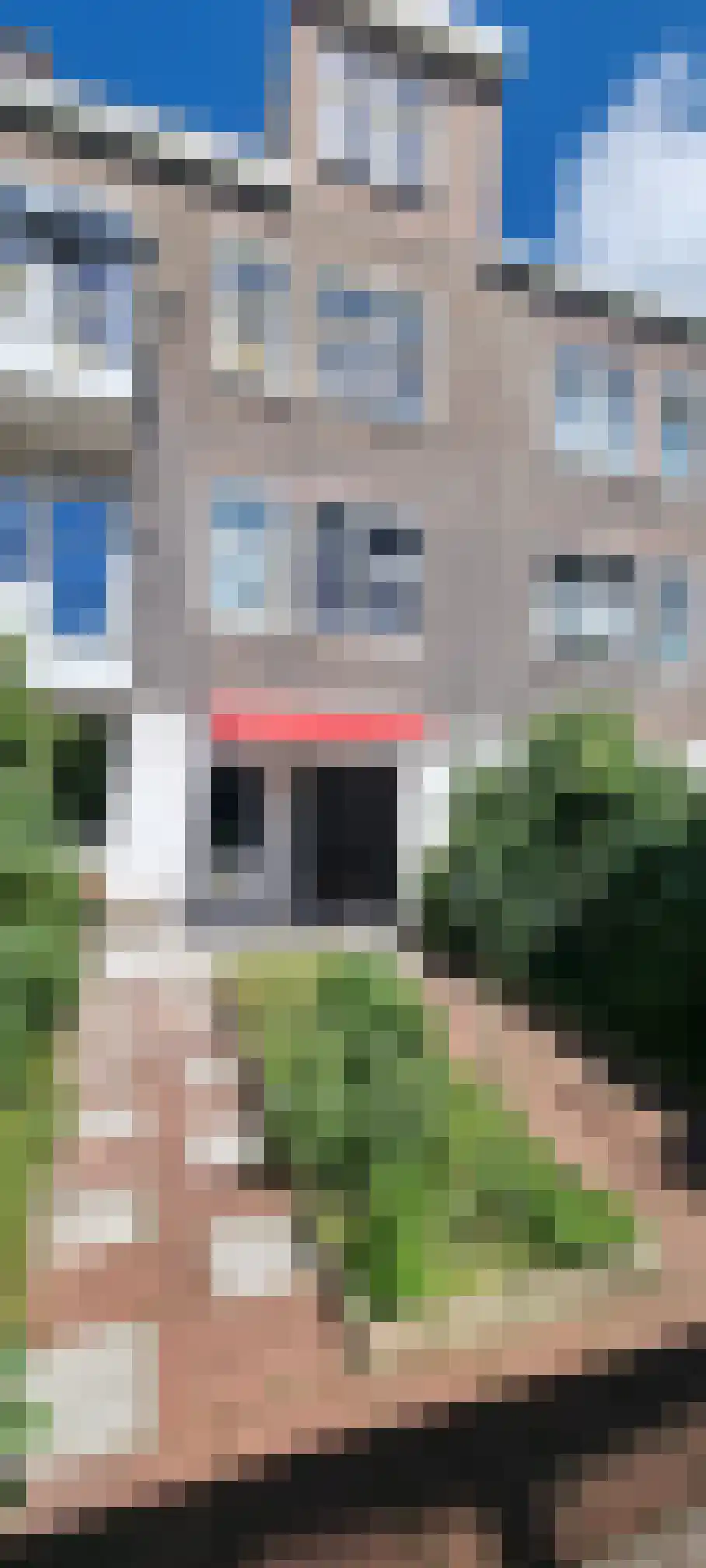 Valkenboskade 284 Den Haag thumbnail 20