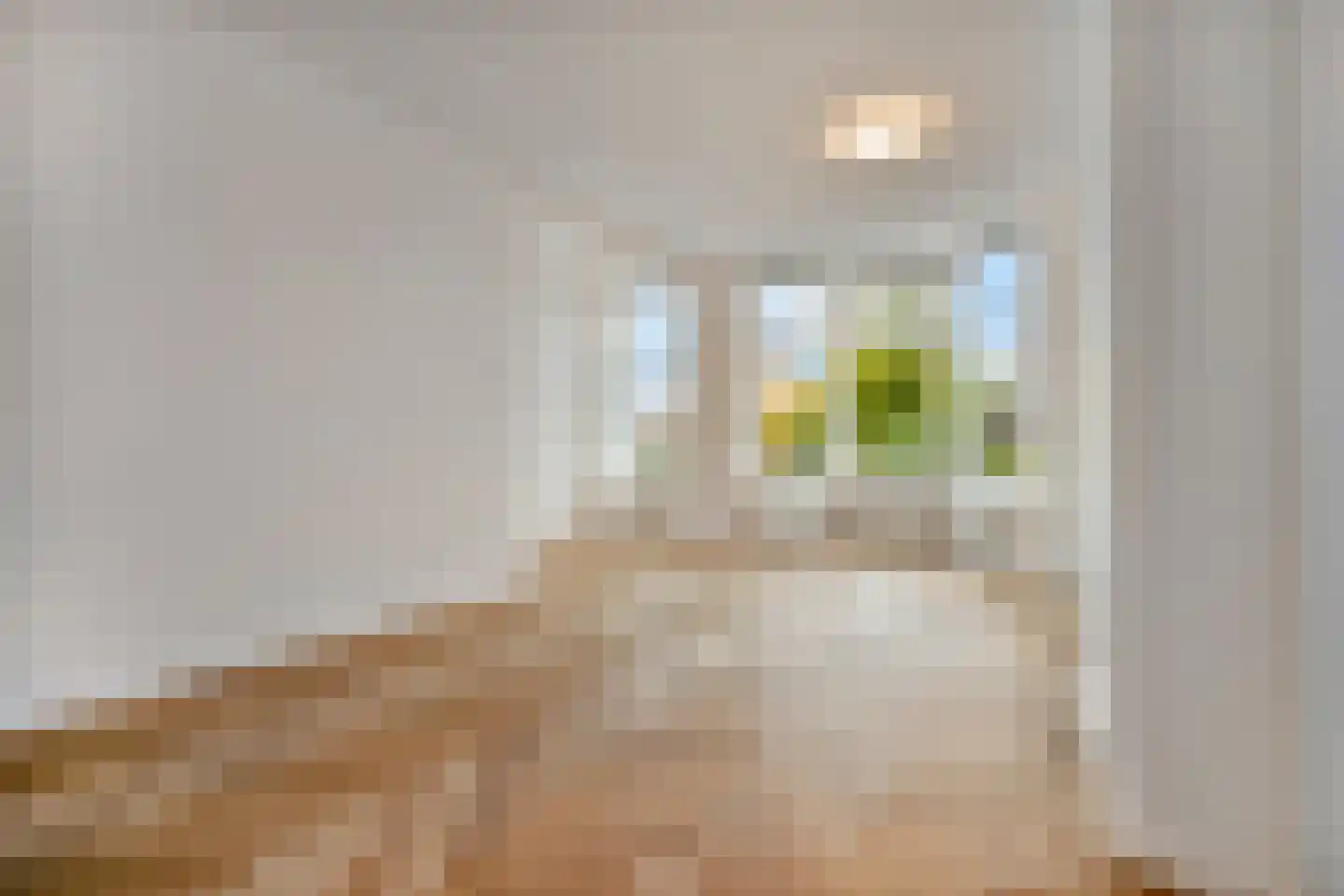 Valkenboskade 29 B Den Haag thumbnail 6