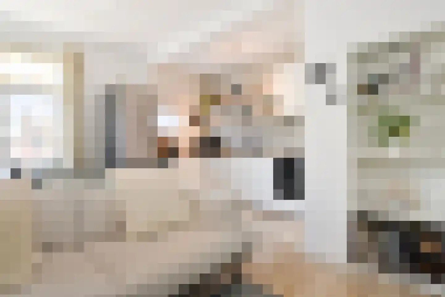 Valkenboskade 290 Den Haag thumbnail 6