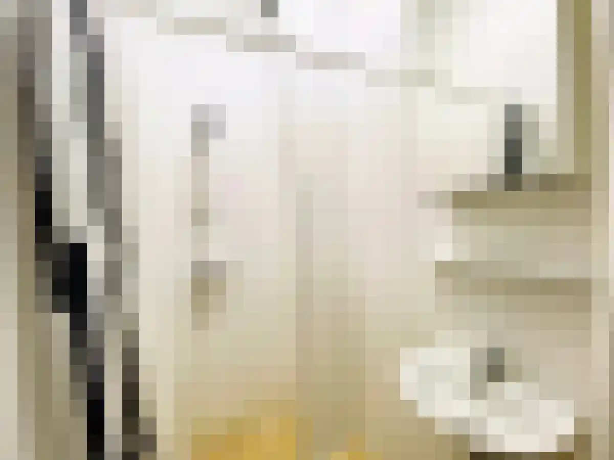 Valkenboskade 3 Den Haag thumbnail 5