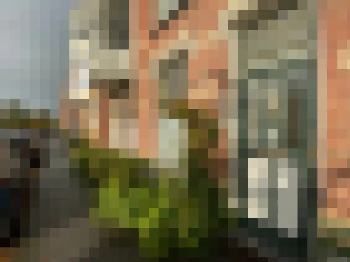 Valkenboskade 3 Den Haag thumbnail 6
