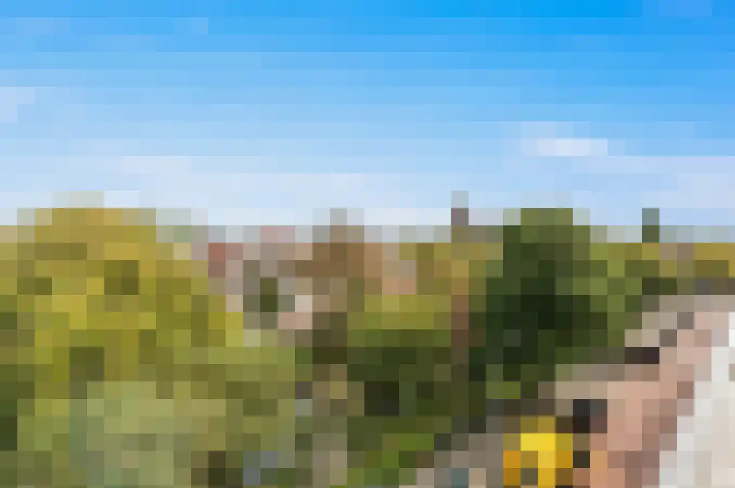 Valkenboskade 34 Den Haag thumbnail 38