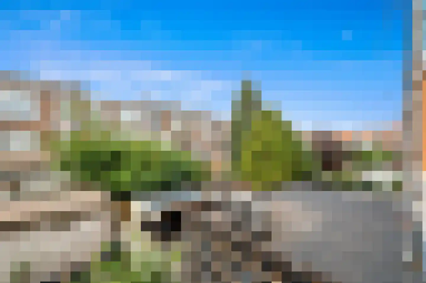Valkenboskade 354 Den Haag thumbnail 21