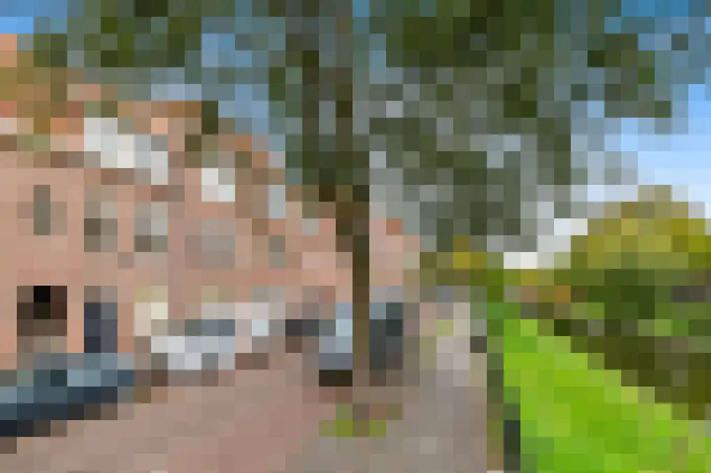 Valkenboskade 354 Den Haag thumbnail 4