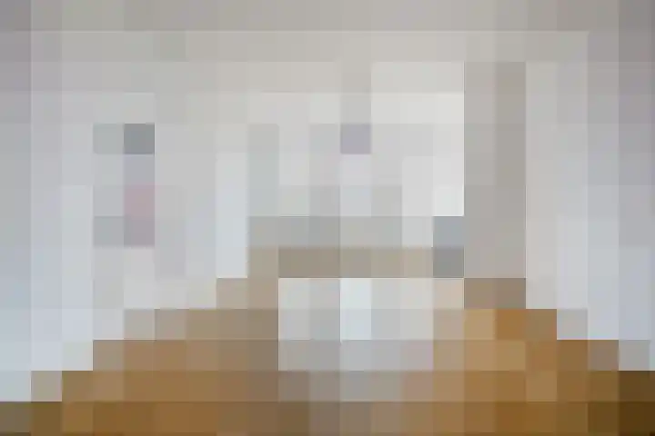 Valkenboskade 360 Den Haag thumbnail 11