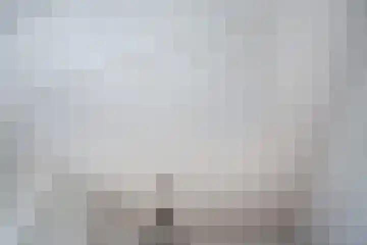 Valkenboskade 360 Den Haag thumbnail 13