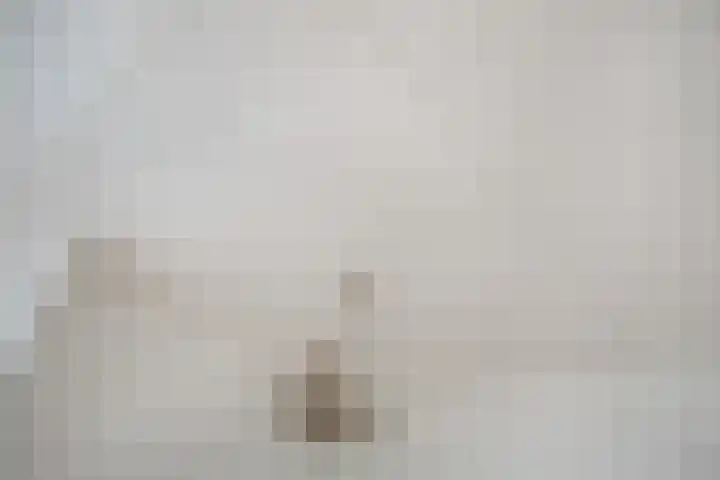 Valkenboskade 360 Den Haag thumbnail 15
