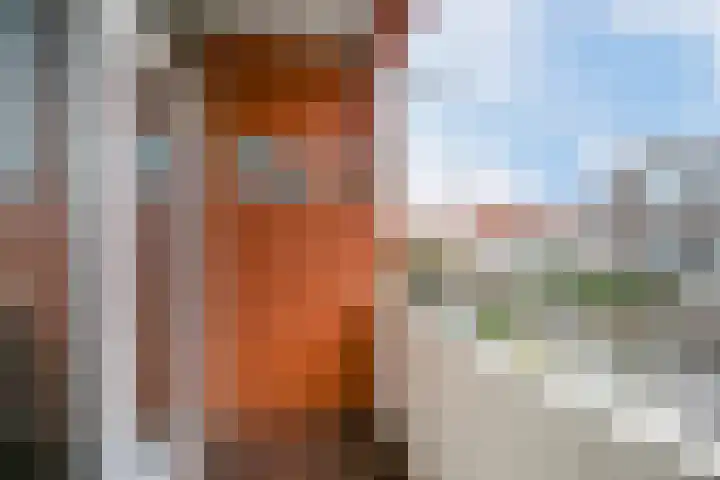 Valkenboskade 360 Den Haag thumbnail 19