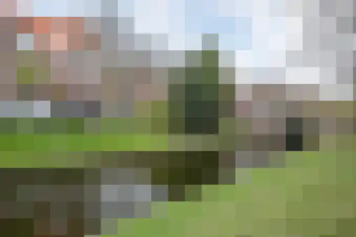 Valkenboskade 360 Den Haag thumbnail 28
