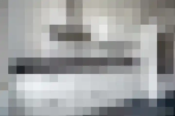 Valkenboskade 360 Den Haag thumbnail 5
