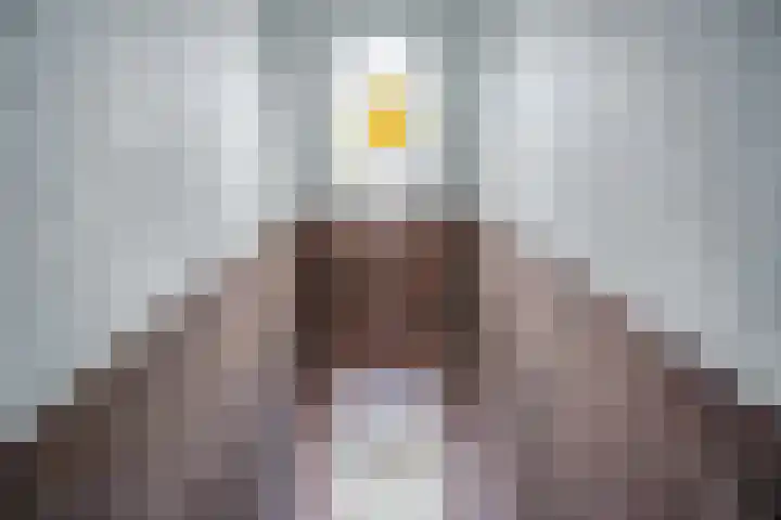 Valkenboskade 360 Den Haag thumbnail 8