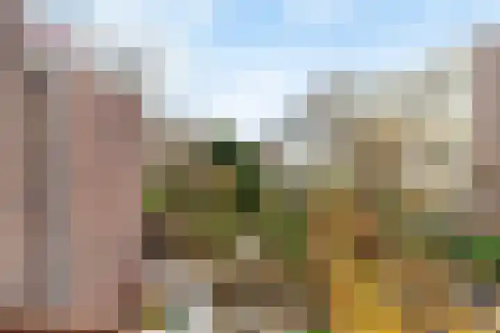 Valkenboskade 432 Den Haag thumbnail 15