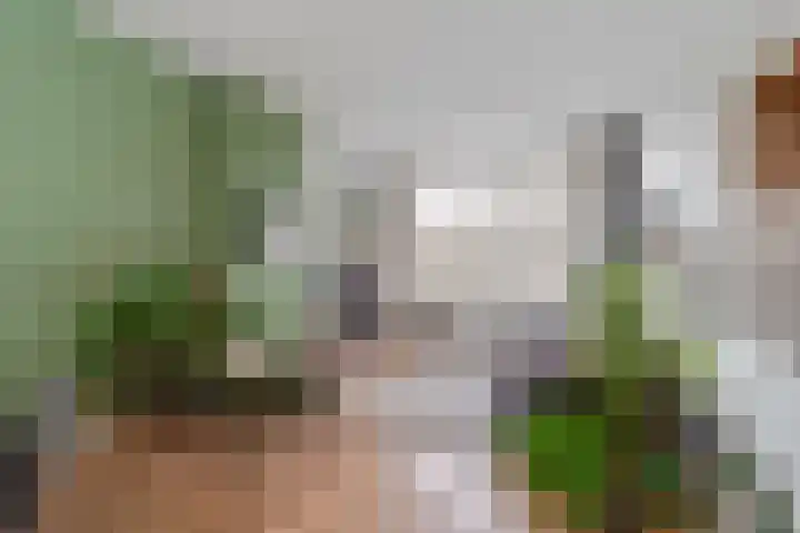 Valkenboskade 432 Den Haag thumbnail 6