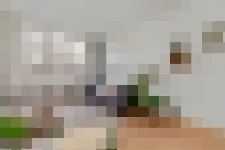 Valkenboskade 432 Den Haag thumbnail 7
