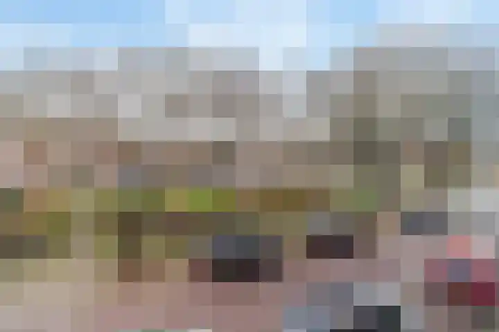Valkenboskade 432 Den Haag thumbnail 8
