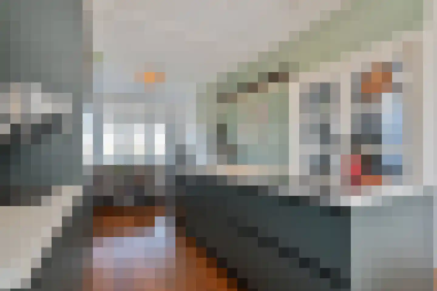 Valkenboskade 442 Den Haag thumbnail 14