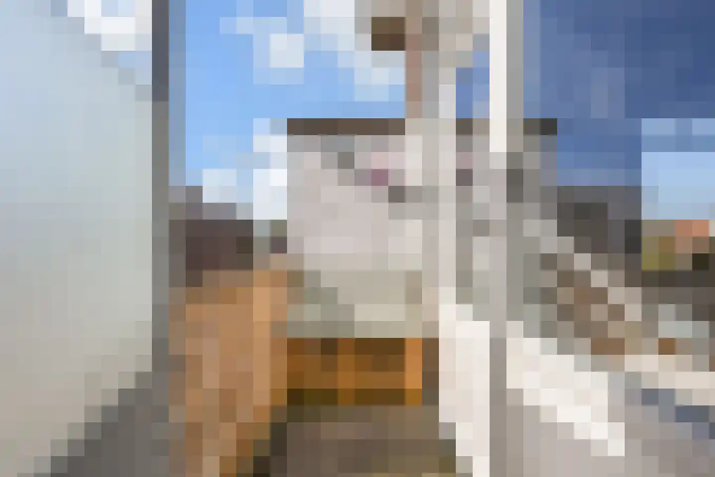 Valkenboskade 442 Den Haag thumbnail 19