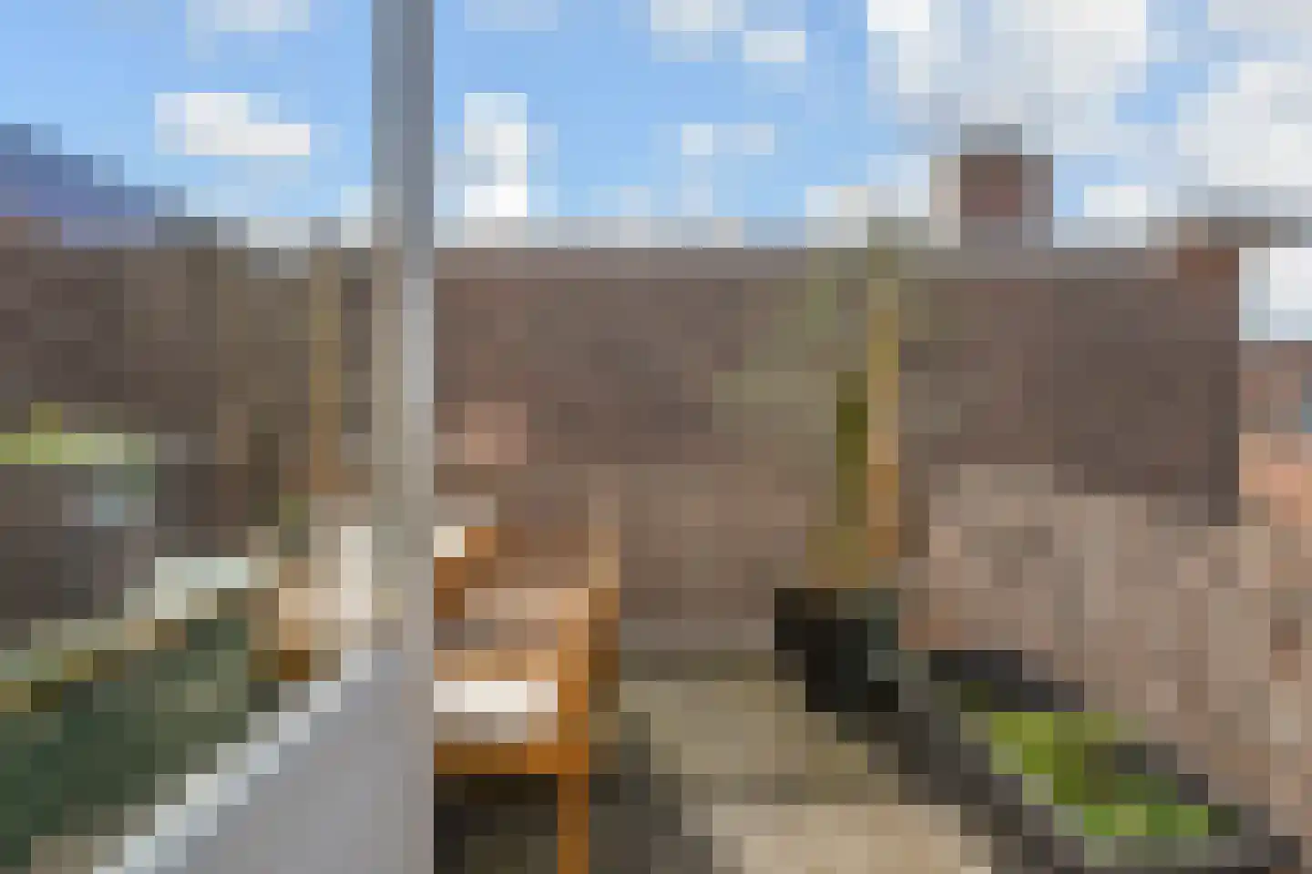 Valkenboskade 442 Den Haag thumbnail 23