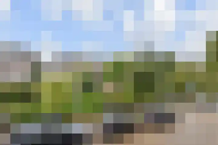 Valkenboskade 461 Den Haag thumbnail 31