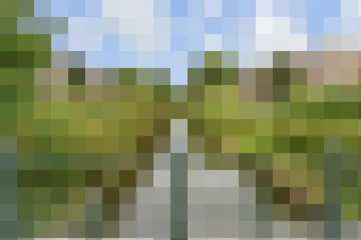 Valkenboskade 461 Den Haag thumbnail 33