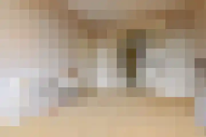 Valkenboskade 461 Den Haag thumbnail 8
