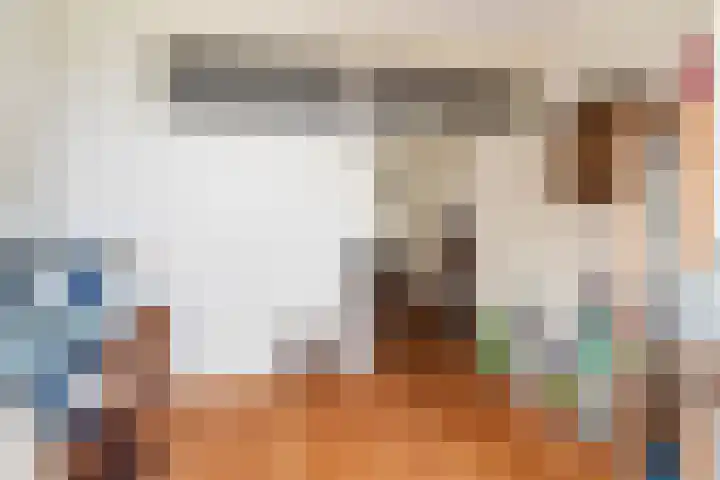Valkenboskade 487 Den Haag thumbnail 17