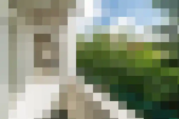 Valkenboskade 487 Den Haag thumbnail 23
