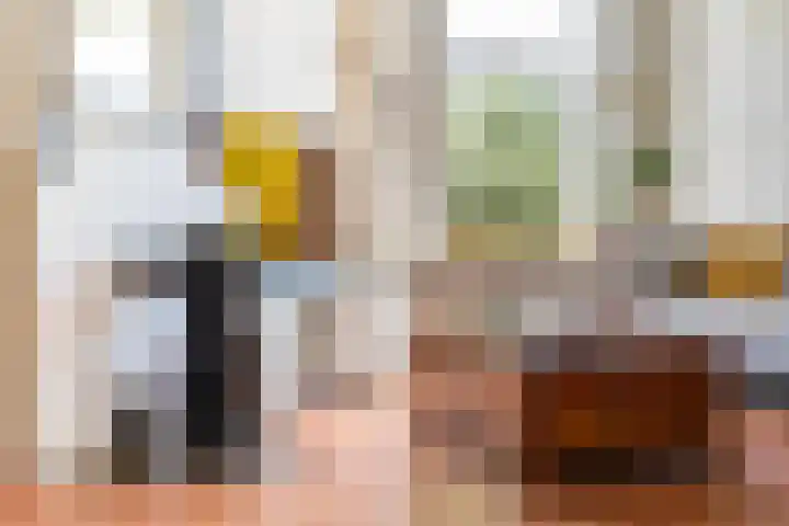 Valkenboskade 487 Den Haag thumbnail 6