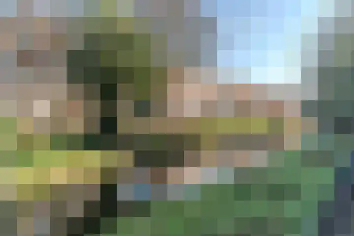 Valkenboskade 512 Den Haag thumbnail 4