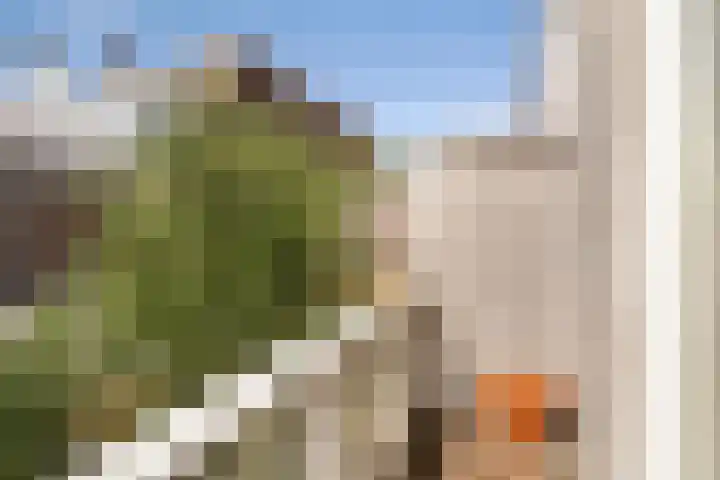 Valkenboskade 54 Den Haag thumbnail 19