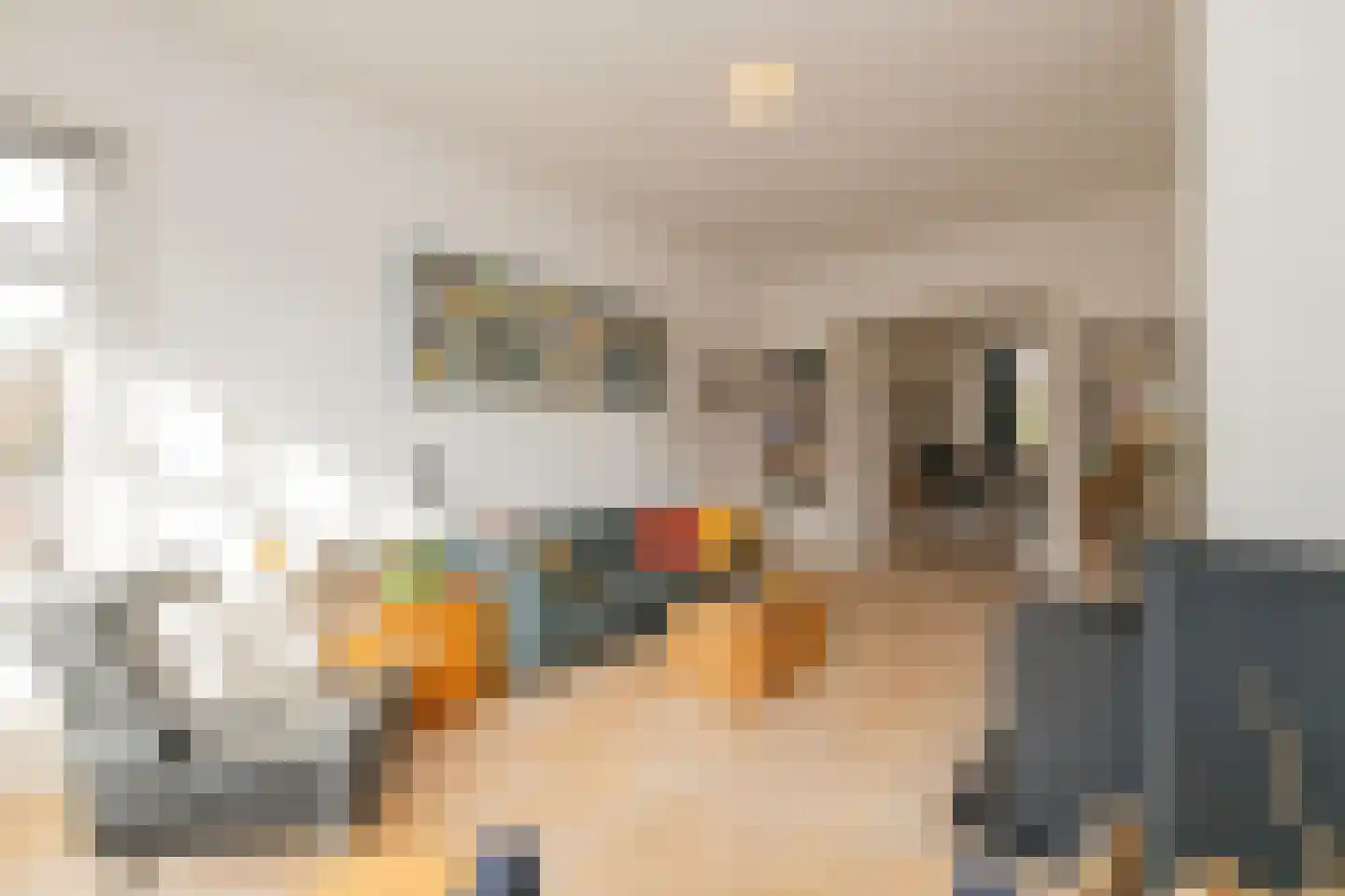 Valkenboskade 587 Den Haag thumbnail 17