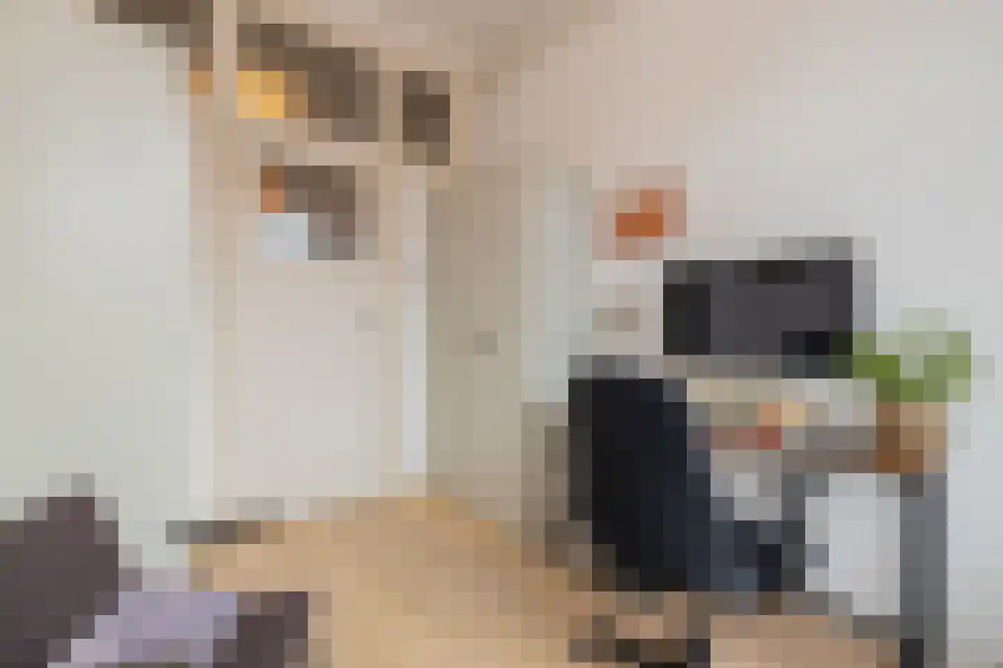 Valkenboskade 587 Den Haag thumbnail 43