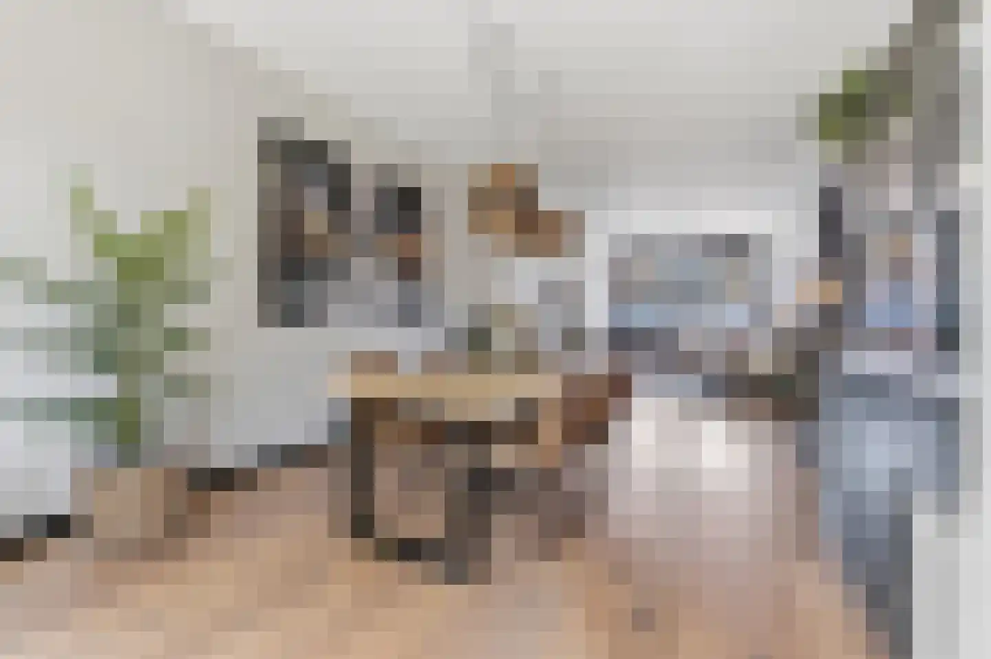 Valkenboskade 616 Den Haag thumbnail 19