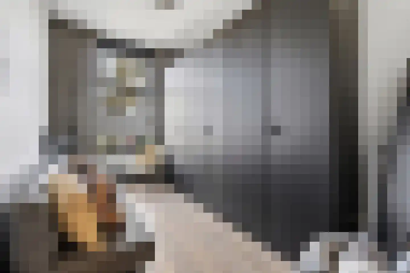 Valkenboskade 616 Den Haag thumbnail 33