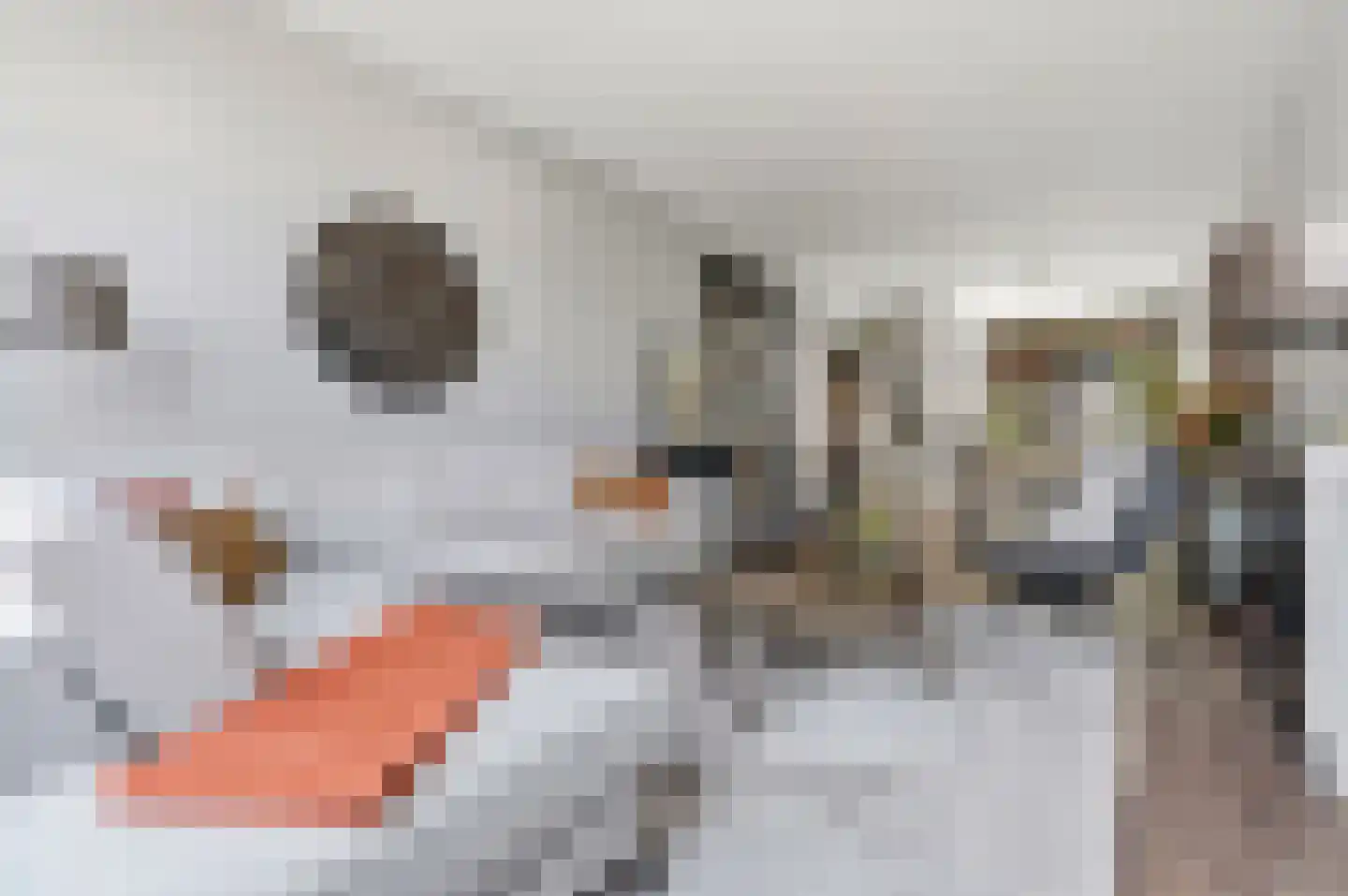 Valkenboskade 616 Den Haag thumbnail 6