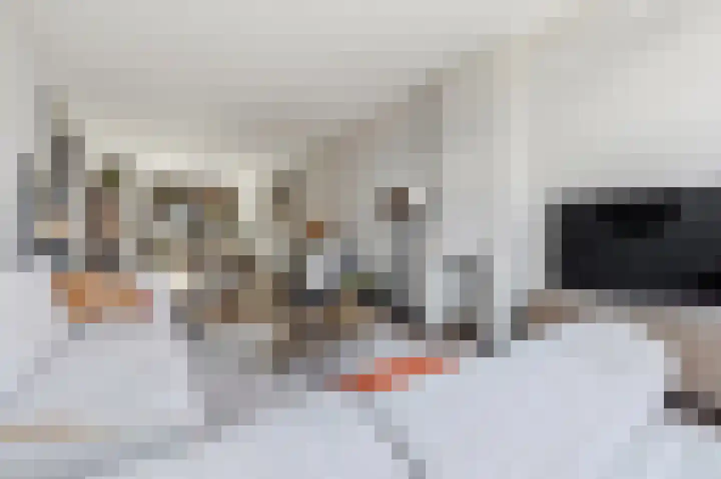 Valkenboskade 616 Den Haag thumbnail 7