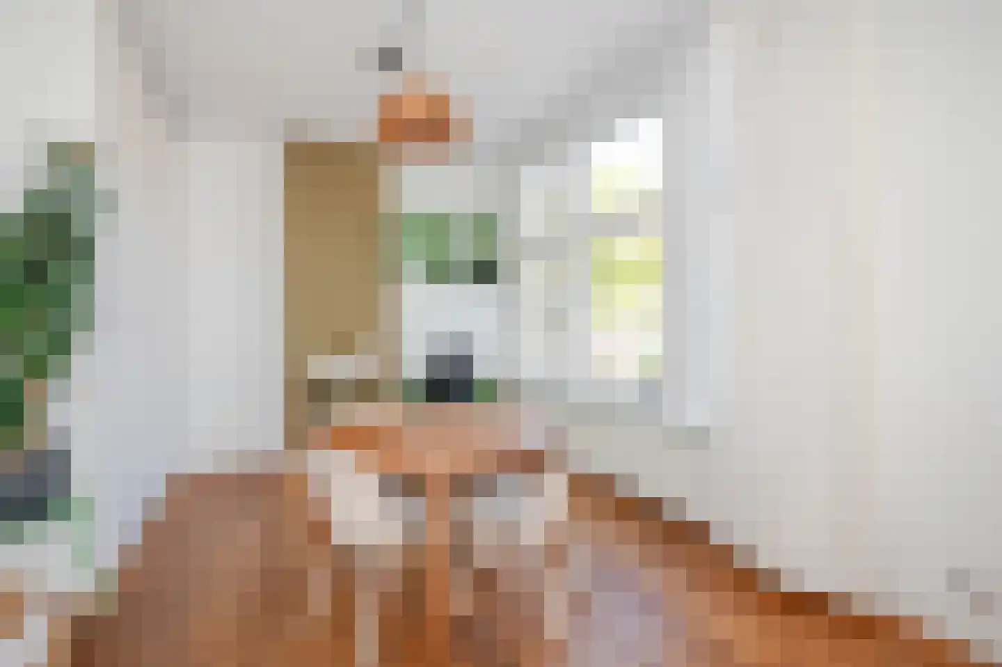 Valkenboskade 620 Den Haag thumbnail 11