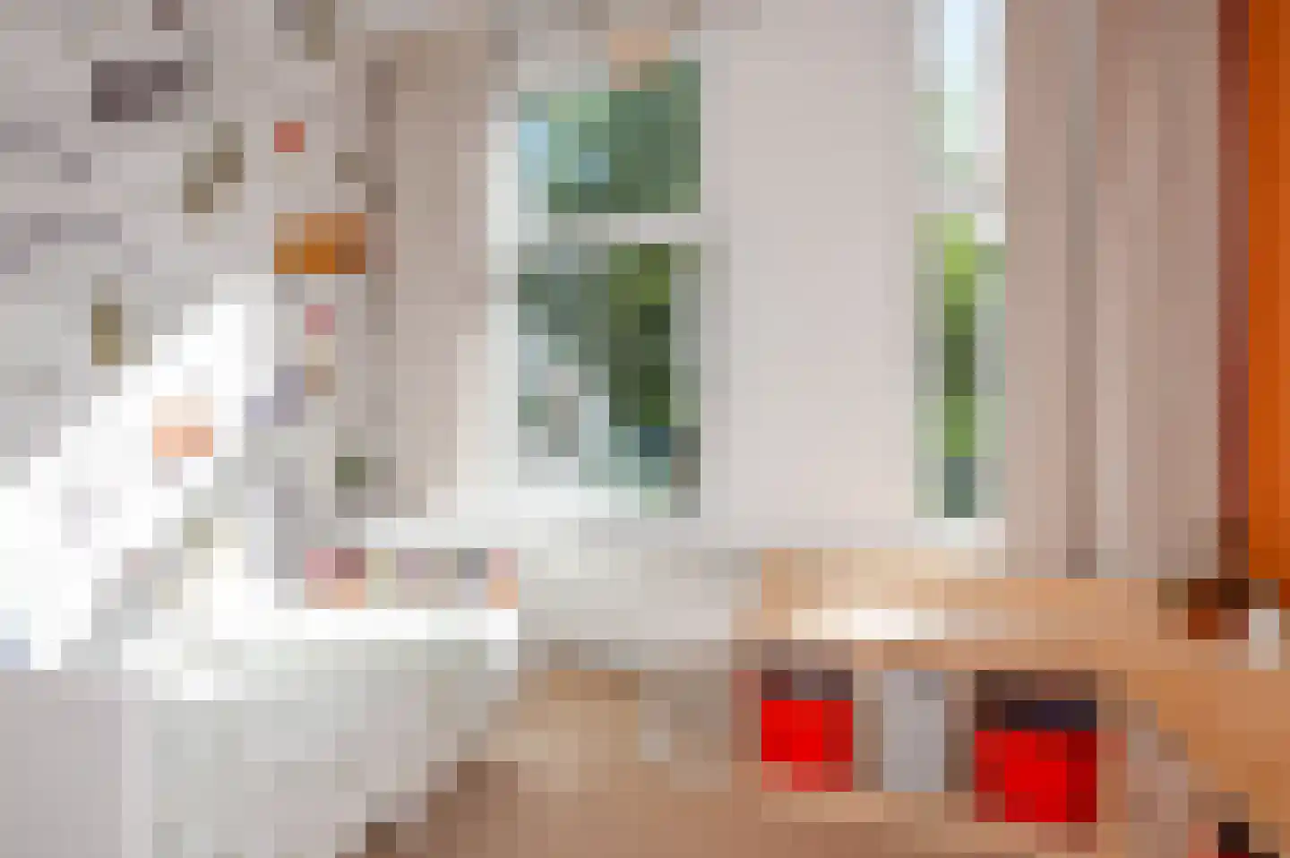 Valkenboskade 620 Den Haag thumbnail 46