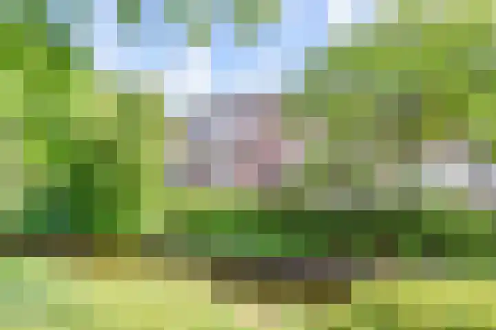 Valkenboskade 621 in Den Haag